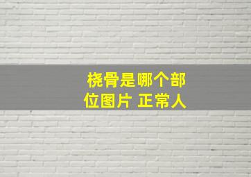 桡骨是哪个部位图片 正常人